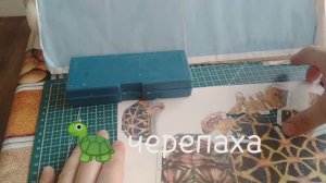 ЧеРеПаХа 🐢 из картона своими руками.