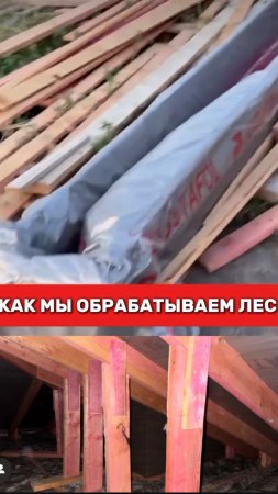 Как мы обрабатываем лес?