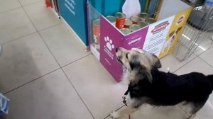 Где мои покупки?