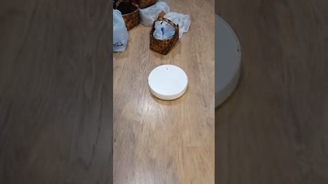 Алиса , включи Покемона !