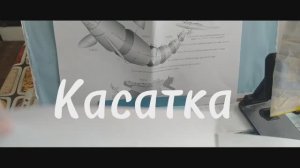 КаСаТкА из бумаги своими руками.