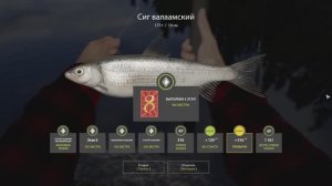 Русская Рыбалка 4-Задание Экстра: Сиг валаамский оз. Ладожское