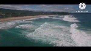 мы родились в Сибири//за твой поганый язык//обзор канала