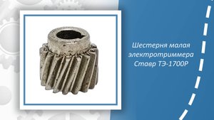 Шестерня малая электротриммера Ставр ТЭ-1700Р