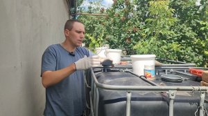 Корневая подкормка винограда после цветения.
Саженцы винограда в ЛНР.