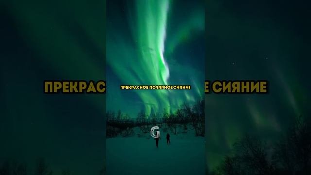 Это единственное место в мире где нет времени, остров Соммарёй в Норвегии!
