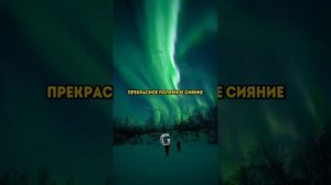 Это единственное место в мире где нет времени, остров Соммарёй в Норвегии!