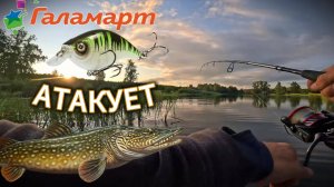 😲ВОБЛЕР за 1 $ СПАСАЕТ РЫБАЛКУ, но почему столько сходов? Рыбалка в Новосибирске.