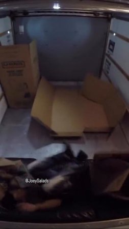 Наказали вора1 Пранк! Ставь лайк!