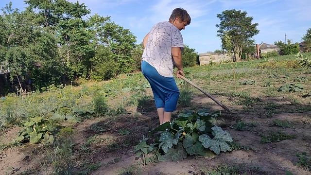 Жизнь станичная, пенсионерская!!!