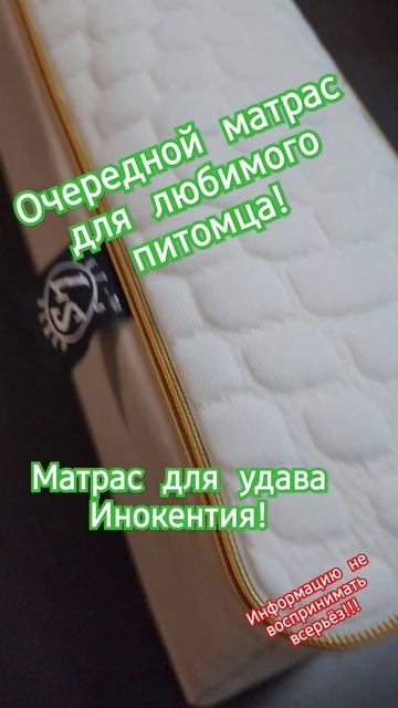 Матрас для вашего любимого питомца! #craft #юмор #интересно #интересно #smile смотреть онлайн