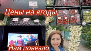 Семья из Мариуполя. Цены на ягоды. #мариуполь #мариупольсегодня #мариупольвидео #мариупольсейчас