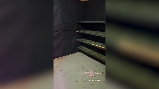 Четверо новосибирцев пойдут под суд за выращивание конопли