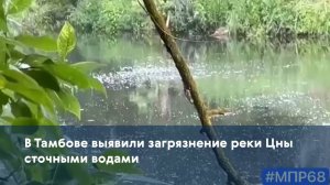 В Тамбове выявили загрязнение реки Цны сточными водами