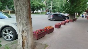 Предлагаю провести со мной целый день!
