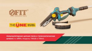 Аккумуляторная цепная пила FIT 79928 и штанга телескопическая 79945