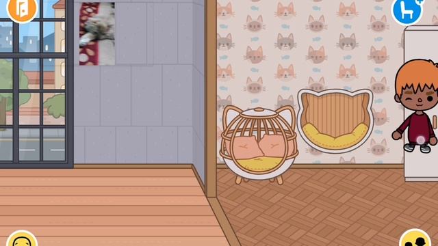 SVID_20250625_180358_1.mp4