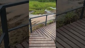 Велопрогулка по самому большому природному заказнику Санкт-Петербурга.