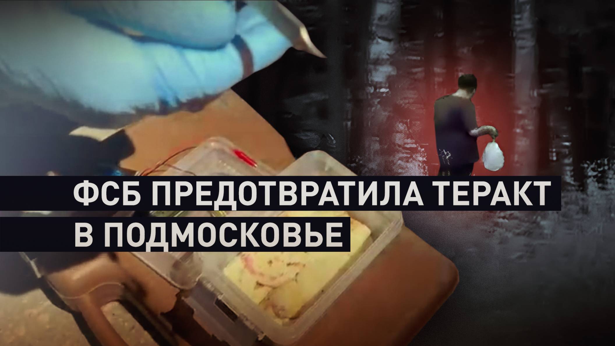 В Подмосковье предотвратили теракт против военнослужащего РФ