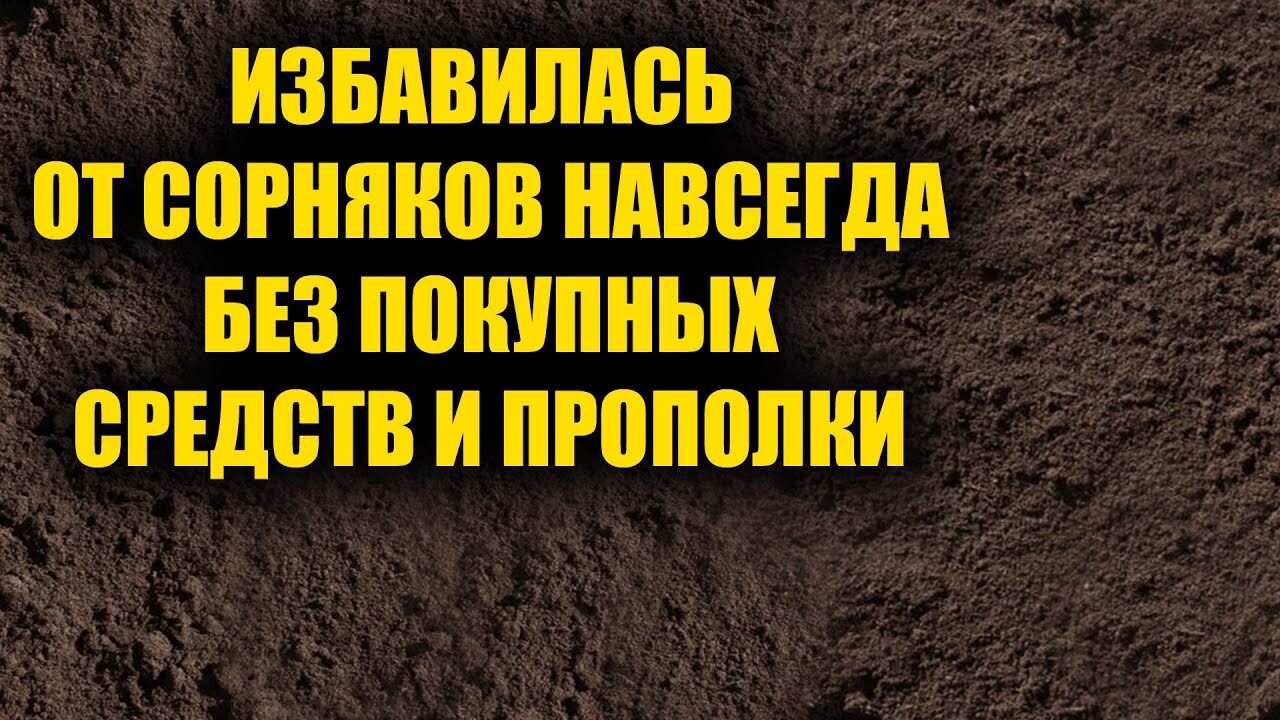 Успешно избавилась от сорняков навсегда, не прибегая к покупным средствам и без необходимости про...