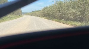 Дорога Окунайский-Магистральный