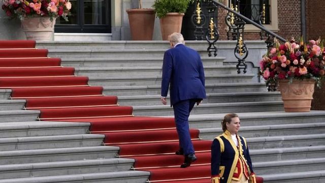 Трамп перед саммитом НАТО заявил о сложном положении Зеленского.