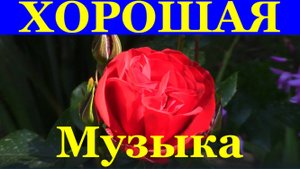 Хорошо Музыка парк Сочи Дендрарий