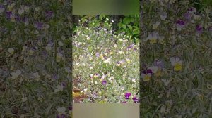 YouCut_20250624_220315481.mp4