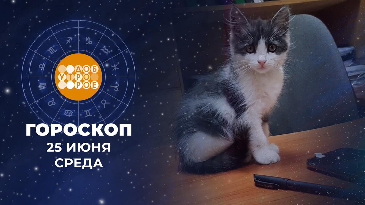 Гороскоп на 25 июня. Доброе утро. Фрагмент выпуска от 25.06.2025