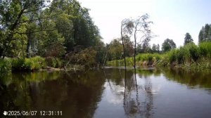 Черная Ганча