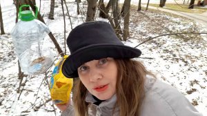 Влог: Котик Тобиас помогает выбрасывать ненужное / Накормила птичек кормом для попугаев