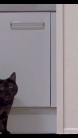 А чё это вы здесь делаете?