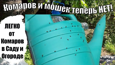 Забыл про комаров🦟 и мух с мошками на своём участке