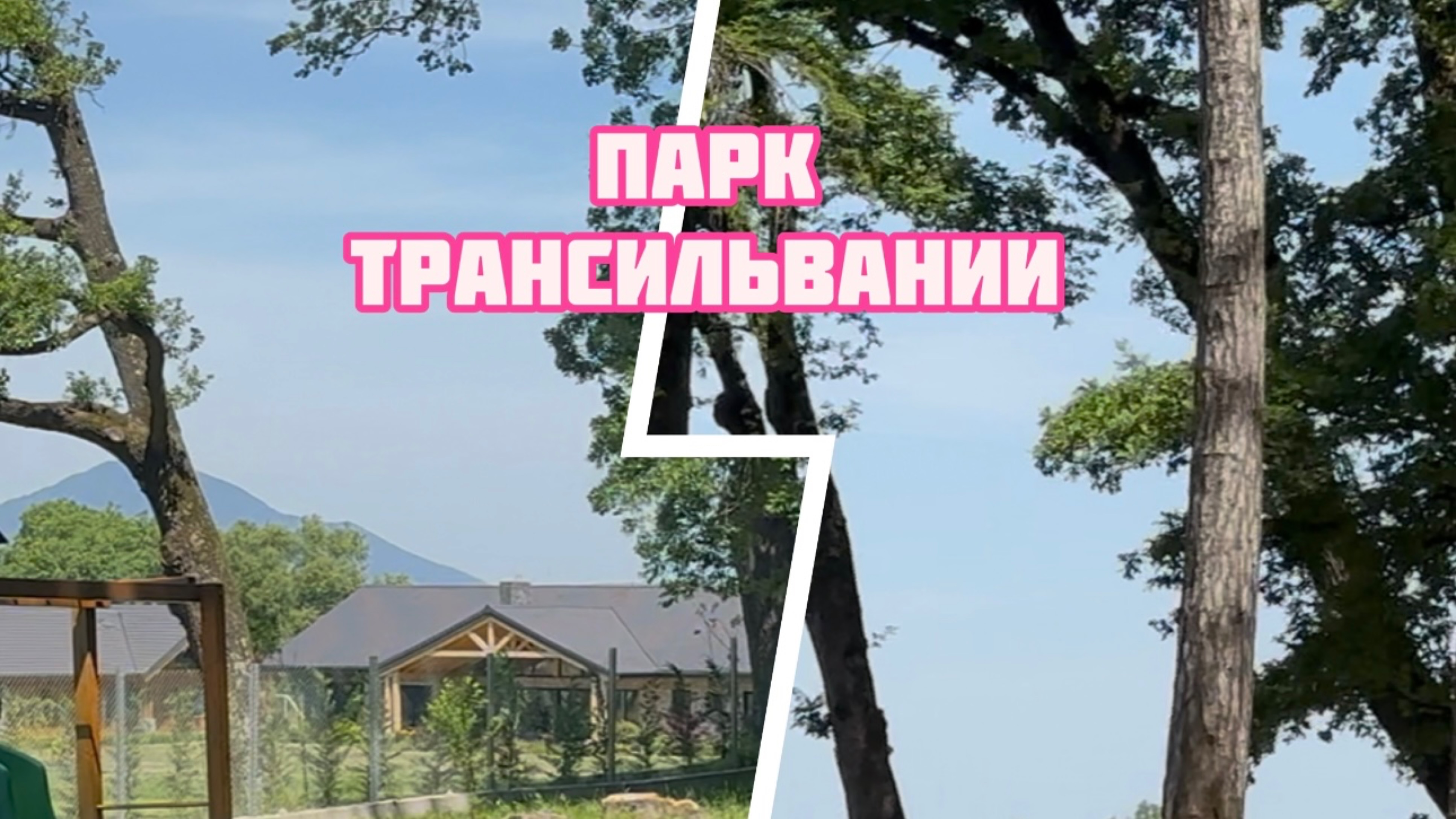 Прогулка по красивому аутентичному парку
