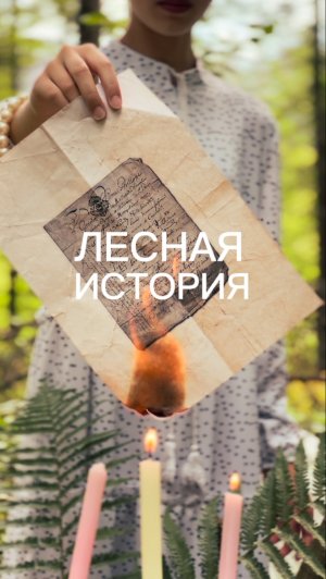 Лесная творческая история