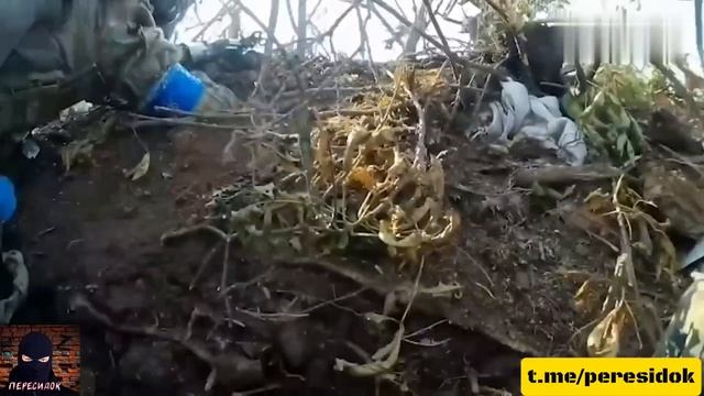ВСУ снова ограбили. Вид от первого лица