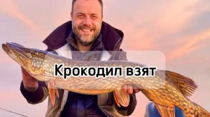 Щука на борту!!! #fishing #music #рыбалка #рекомендации