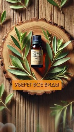 ВСЯ АПТЕЧКА в ОДНОЙ капле этого масла! #здоровье #эфирныемасла