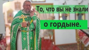 ТО, ЧТО ВЫ НЕ ЗНАЛИ О ГОРДЫНЕ. Священник Игорь Сильченков.