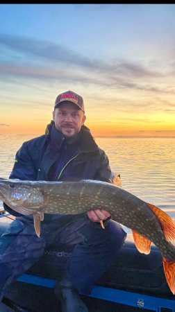 ПОЙМАЛ КРОКОДИЛА #fishing #рыбалка #щука #рекомендации #music