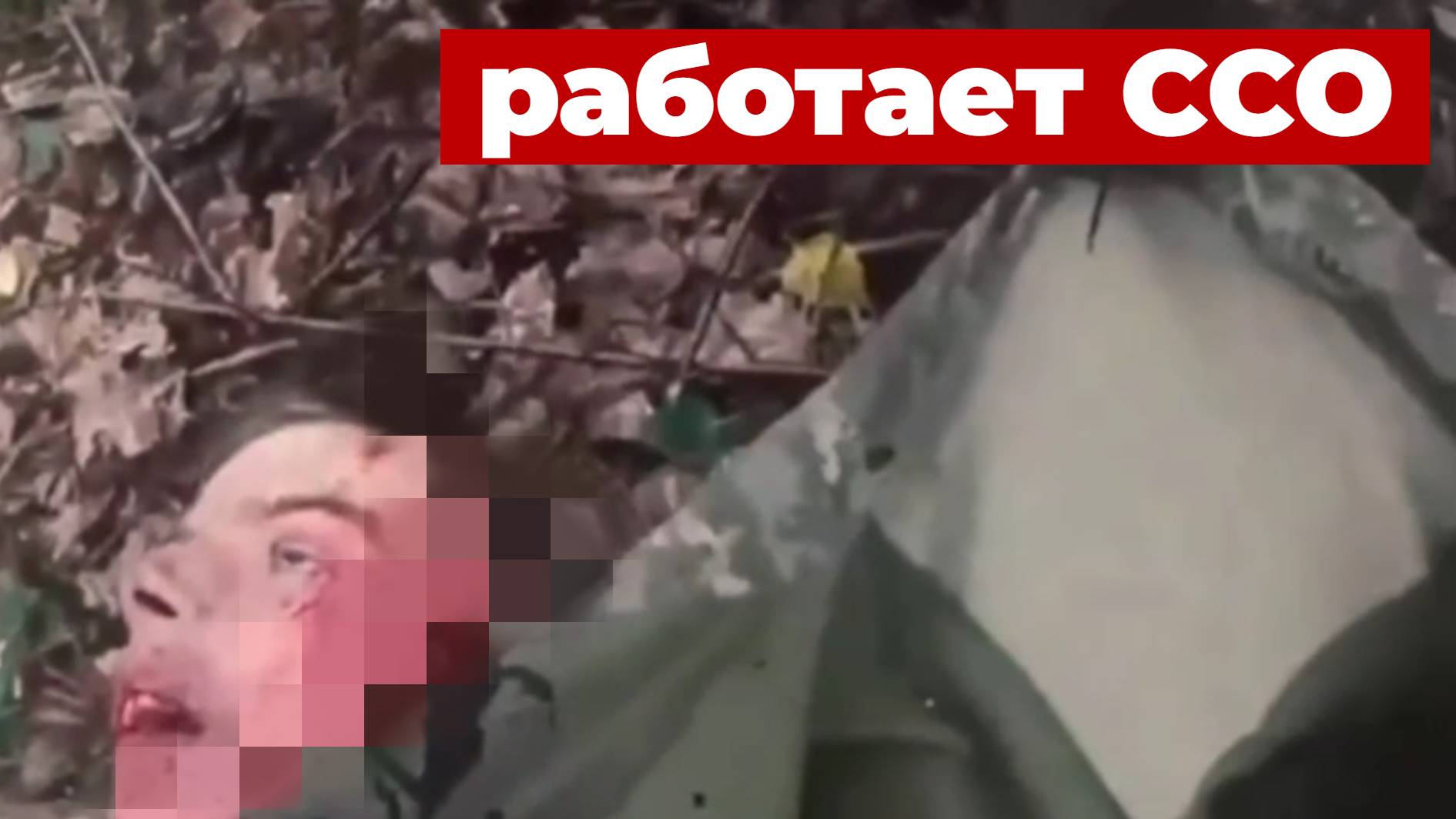 Работает ССО