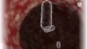 ЗОЖ. Чистка и дезинфекция кондиционера.