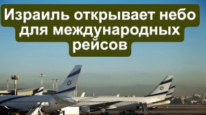 Когда откроют аэропорт в Израиле для международных рейсов. Азимут и Ред Вингс летят в Израиль.