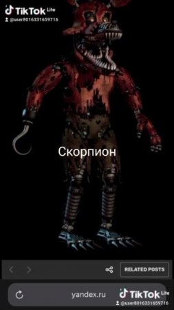 Какой ты Фокси по зз