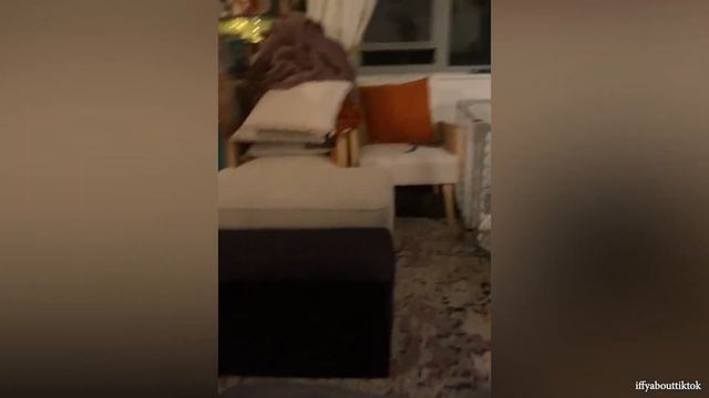 Смешные видео с собаками 2022 - Пришло время ПОСМЕЯТЬСЯ