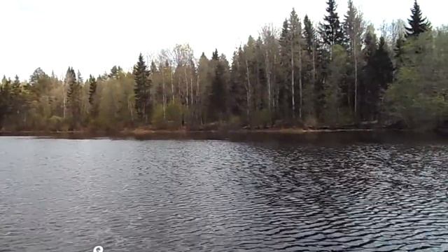 МКМ Вихрь