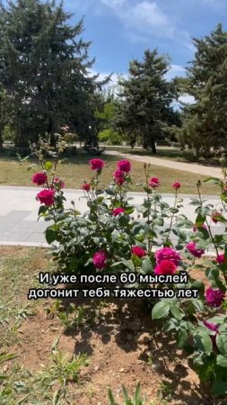 Вот только уже нельзя #shorts