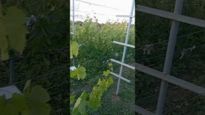 ещё не всё потеряно