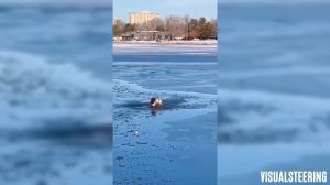 приколы