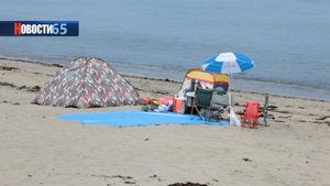 В Аниве купаться запрещено! Всего 2 официальных пляжа действуют на территории Сахалинской области